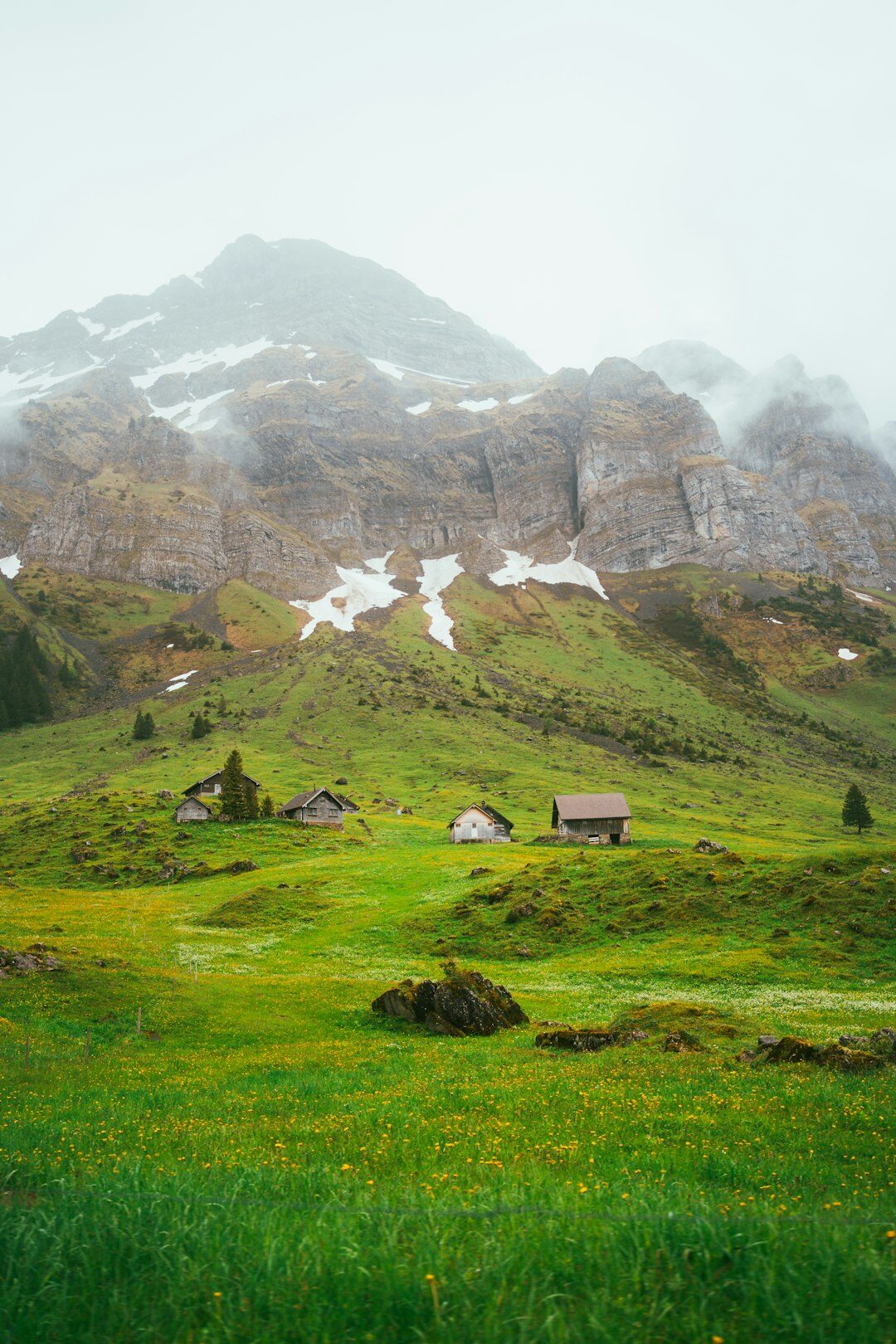 swiss alps green landscape