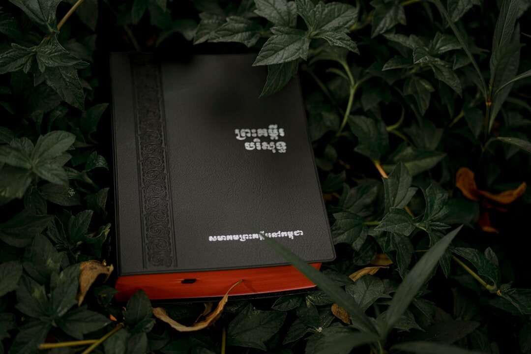 swiss green files folder