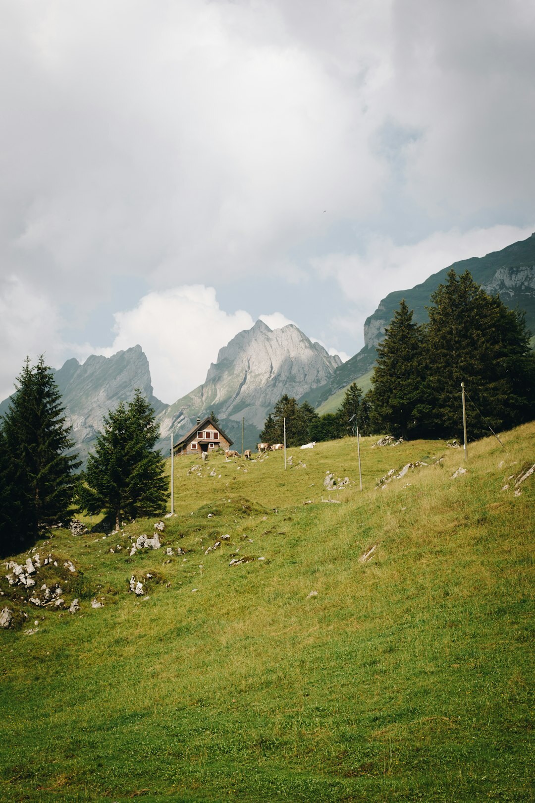 swiss alps green landscape