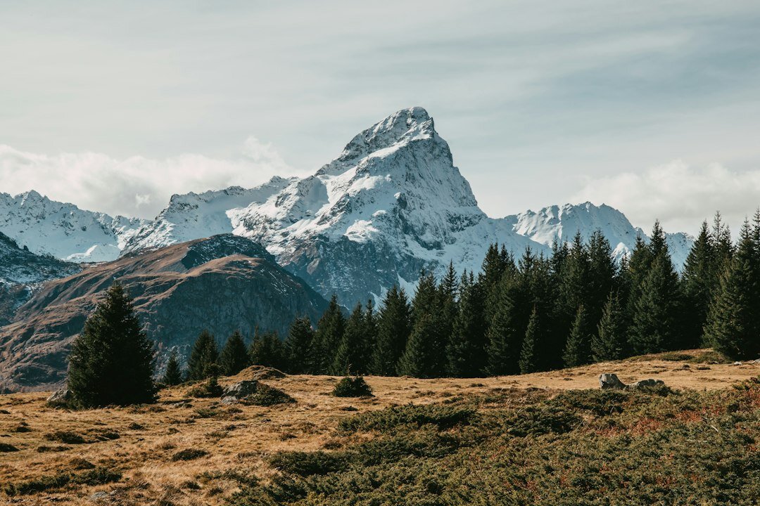 swiss alps landscape
