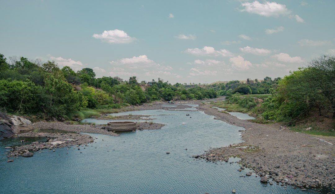 river restoration project