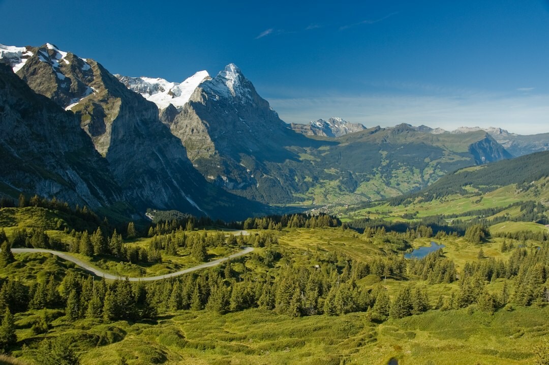 swiss alps green landscape