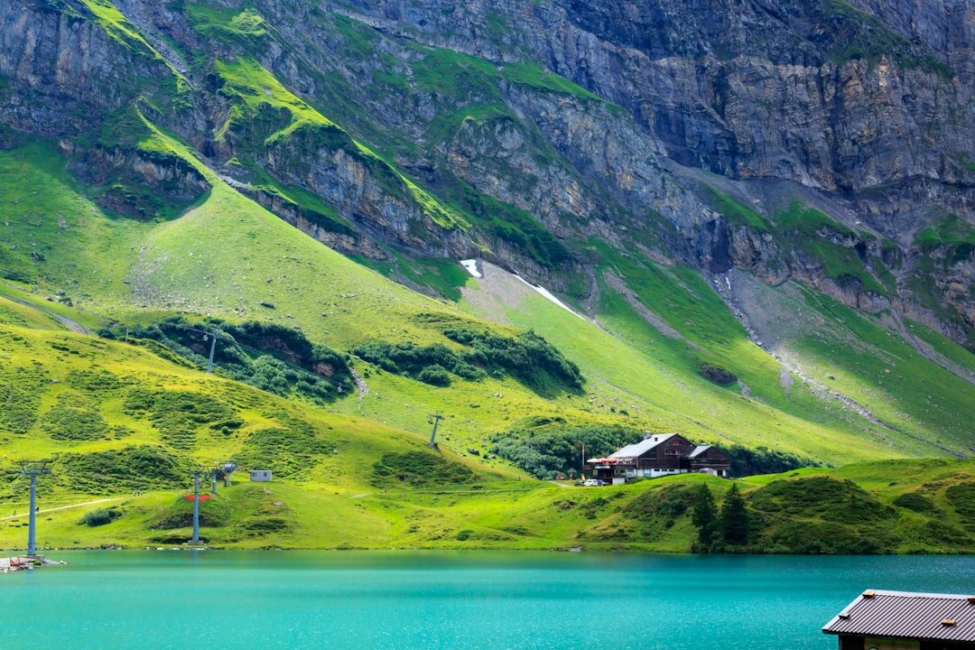 swiss green landscape