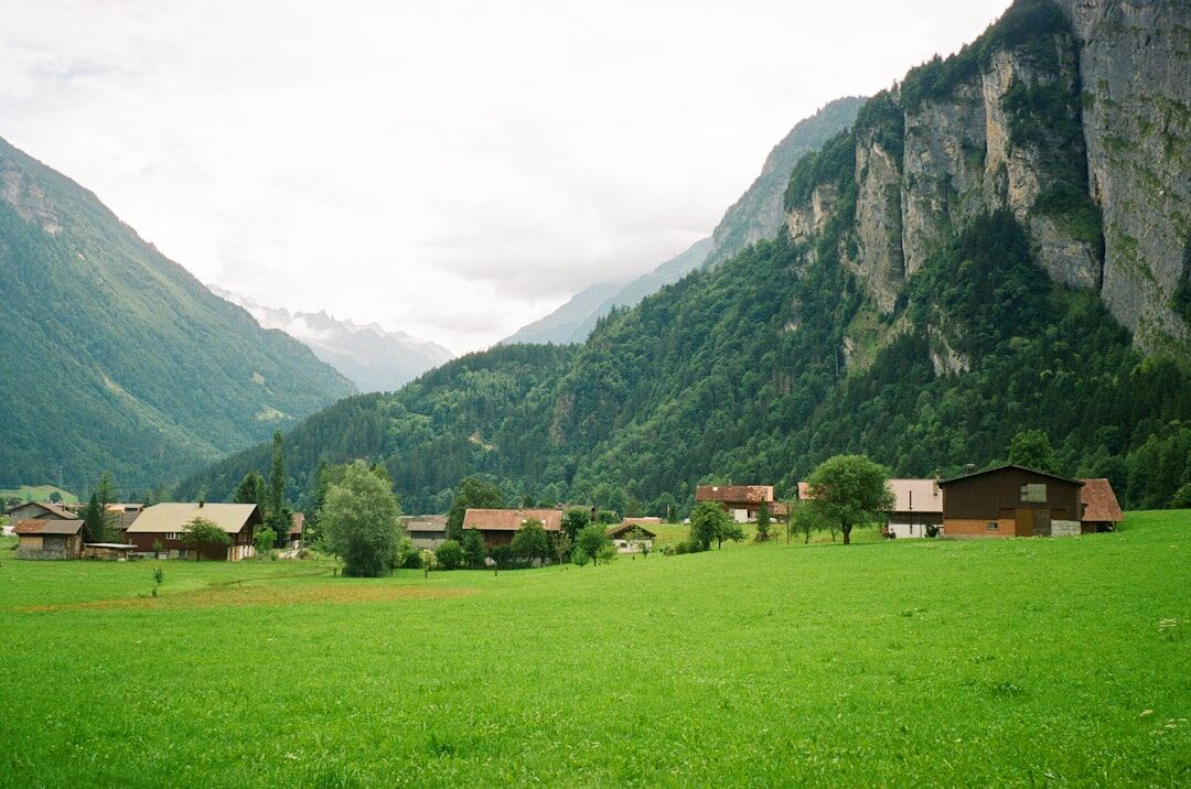 swiss green landscape
