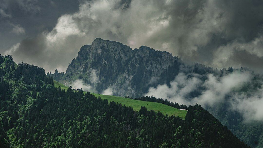 swiss alps green landscape